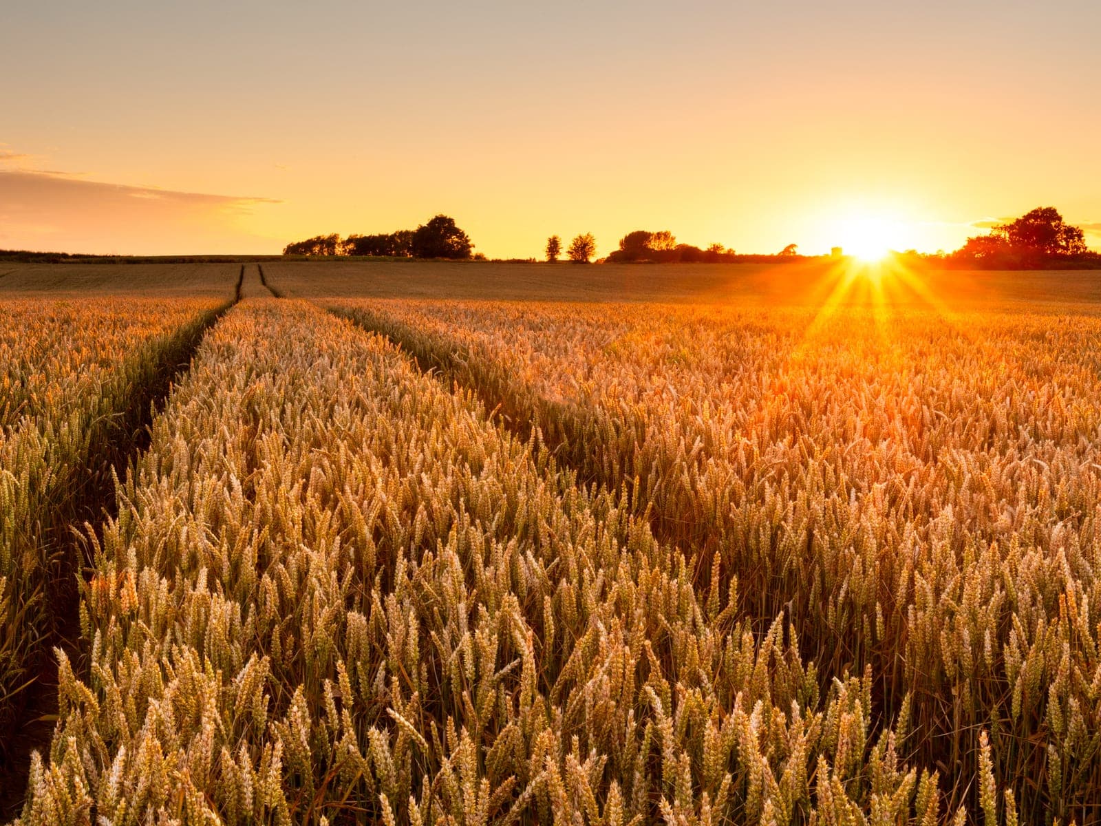 Australian farmland held in a self-managed super fund